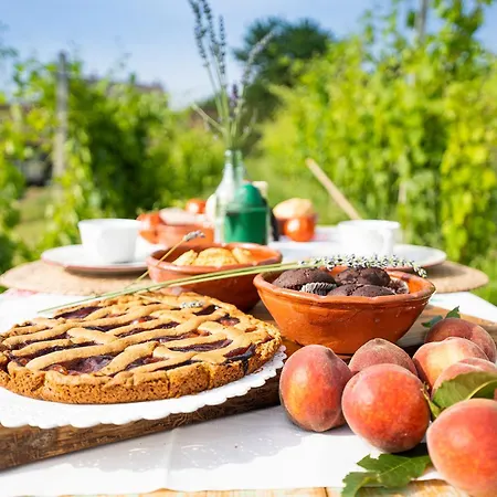 Ca'du Lin - Jacuzzi E Piscina Bed and Breakfast Cisterna dʼAsti